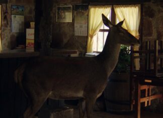 Rodrigo Cuevas. Casares. Vídeo Oficial